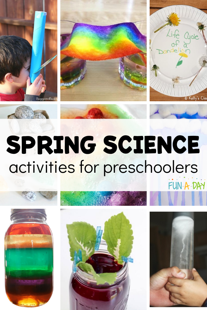 Spring Science Experiments for Preschoolers: 12 STEM Activities That Spark Curiosity