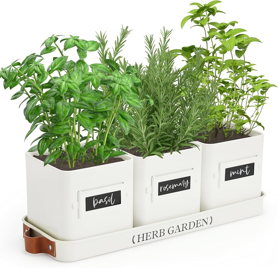 Scented Dough Herb Garden