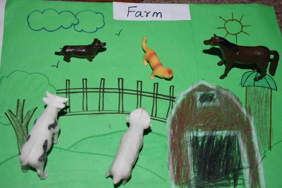 Animal Habitats Sorting Game for Kids