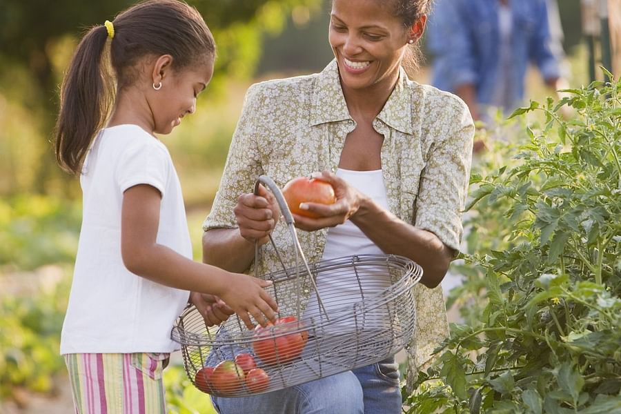 Kids Plant Growing Kit