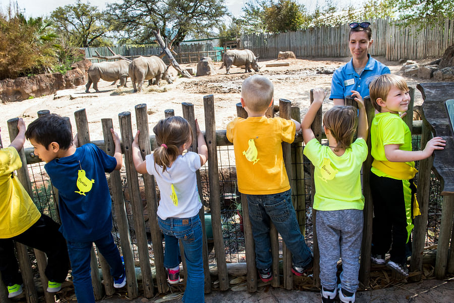 preschool field trip memories