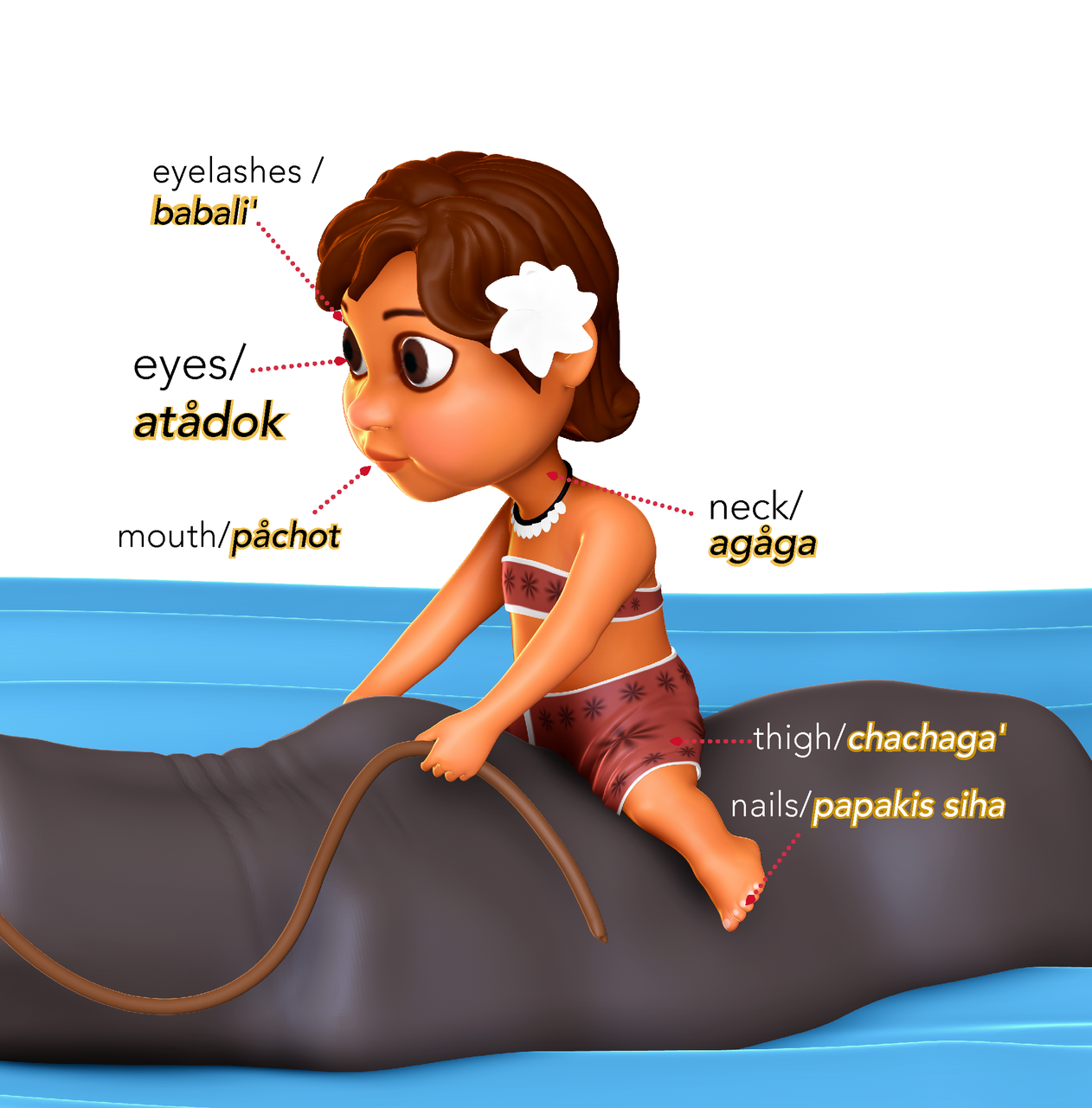 Head Shoulders Knees and Toes sign language