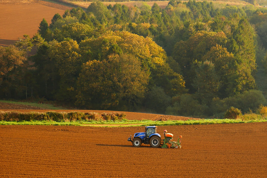 Old MacDonald Had a Farm sign language