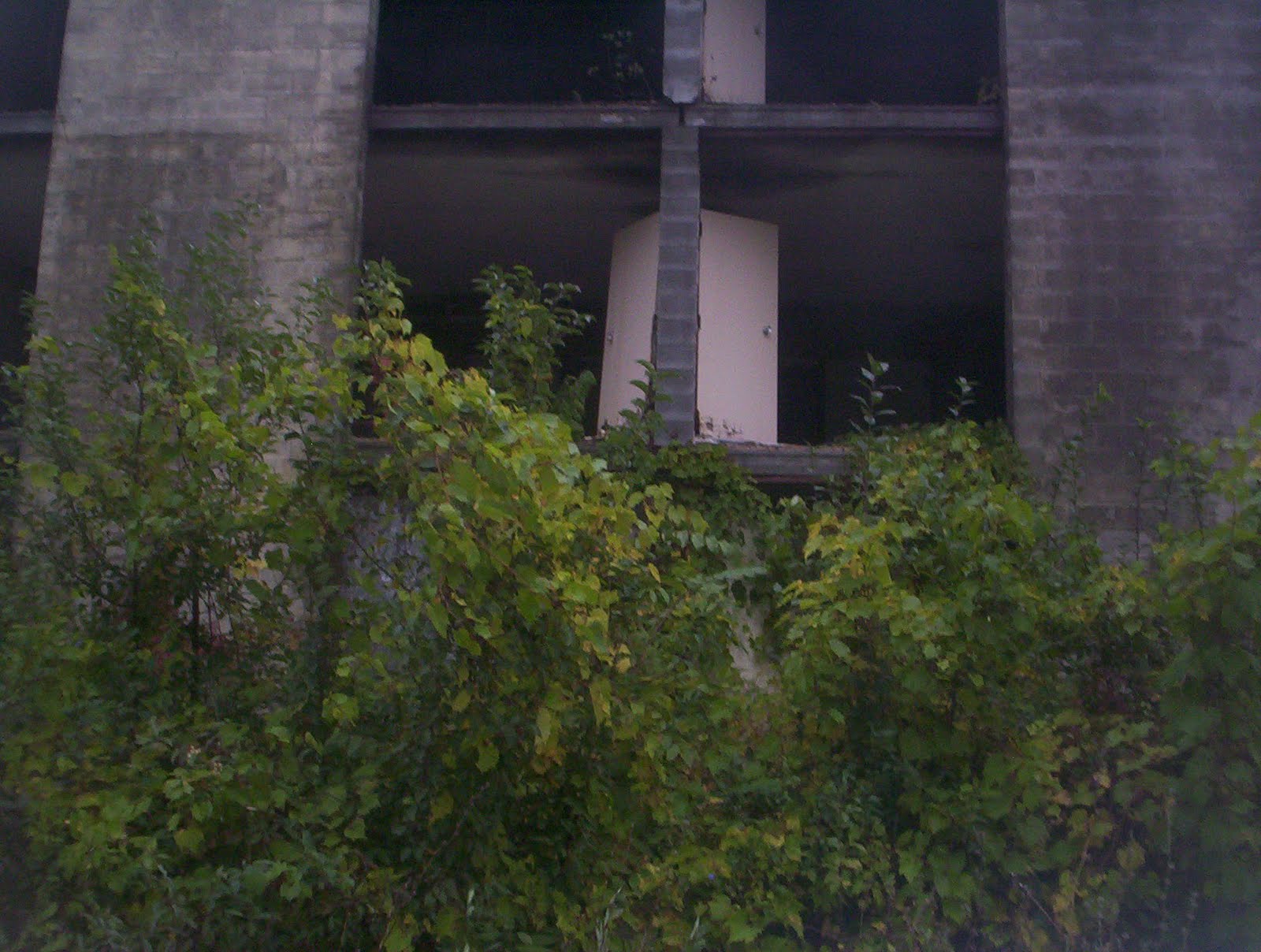 Ali Baba's Farm Turkish song