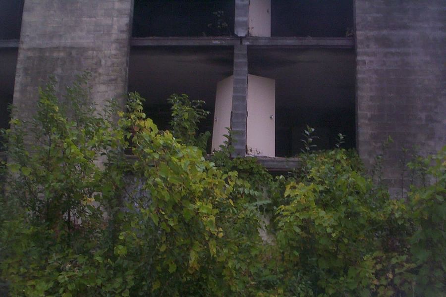 Ali Baba's Farm Turkish song