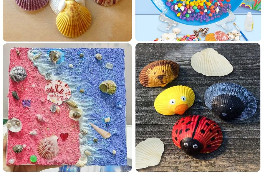 seashells for crafts