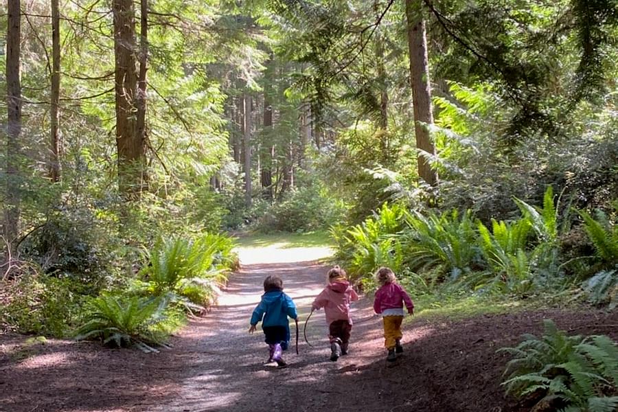 quiet spot nature preschool