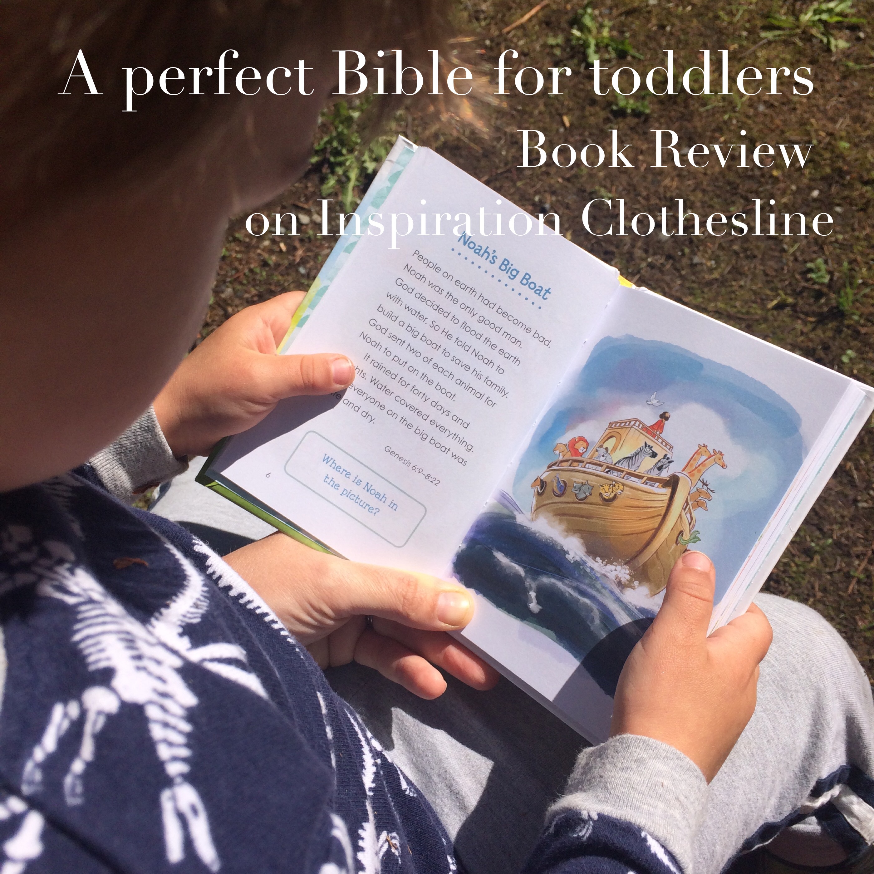 Read Aloud Bible Stories cover