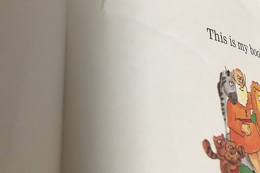 The Beginner's Bible illustrations