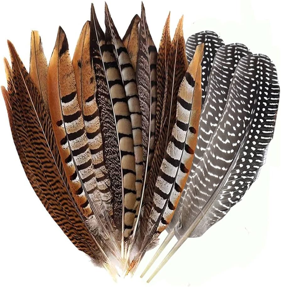 natural feathers for crafts