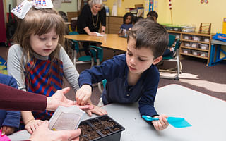 How can I improve the quality of preschool education?