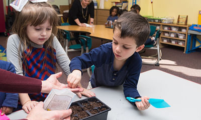 What are some ideas for a preschool curriculum?